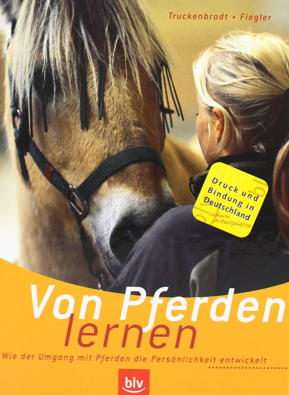 Von Pferden lernen: Wie der Umgang mit Pferden die Persönlichkeit entwickelt Pets