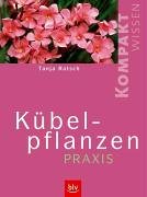 Kübelpflanzen-Praxis Garden & Plants