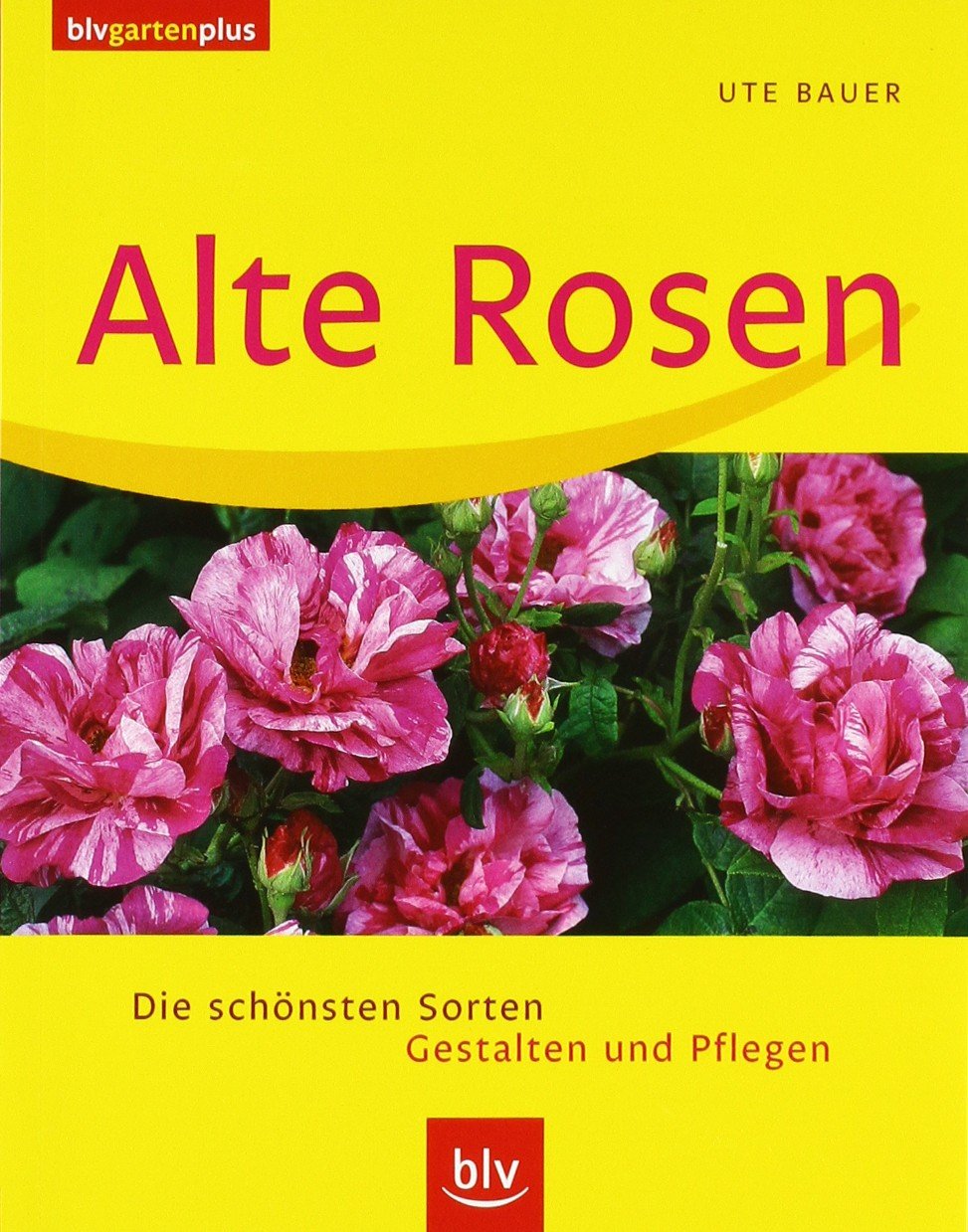 Alte Rosen: Die schönsten Sorten · Gestalten und Pflegen Garden & Plants