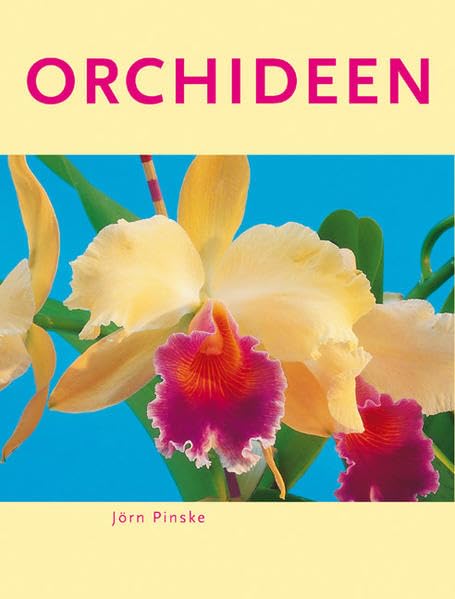 Orchideen Garden & Plants