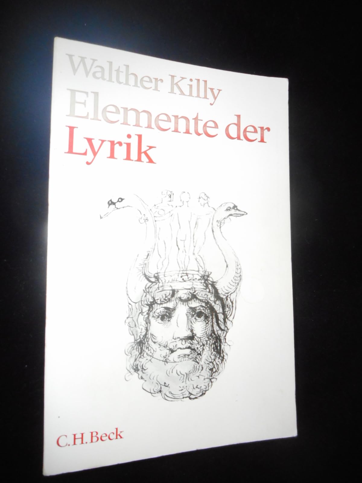 Elemente der Lyrik Poetry