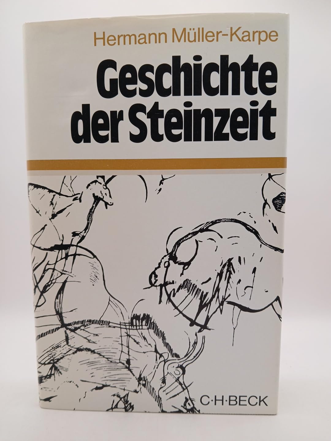 Geschichte der Steinzeit Books