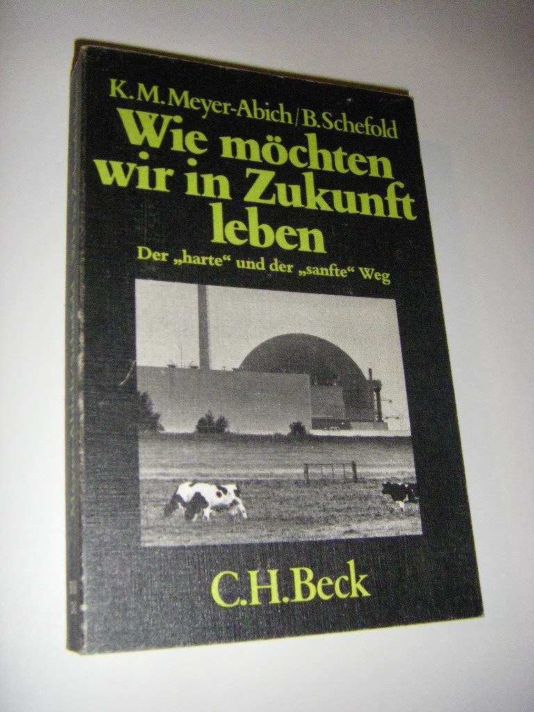 Wie möchten wir in Zukunft leben. Der harte und der sanfte Weg. Social Sciences