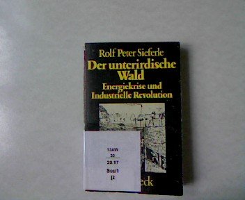 Der unterirdische Wald. Energiekrise und Industrielle Revolution. Social Sciences