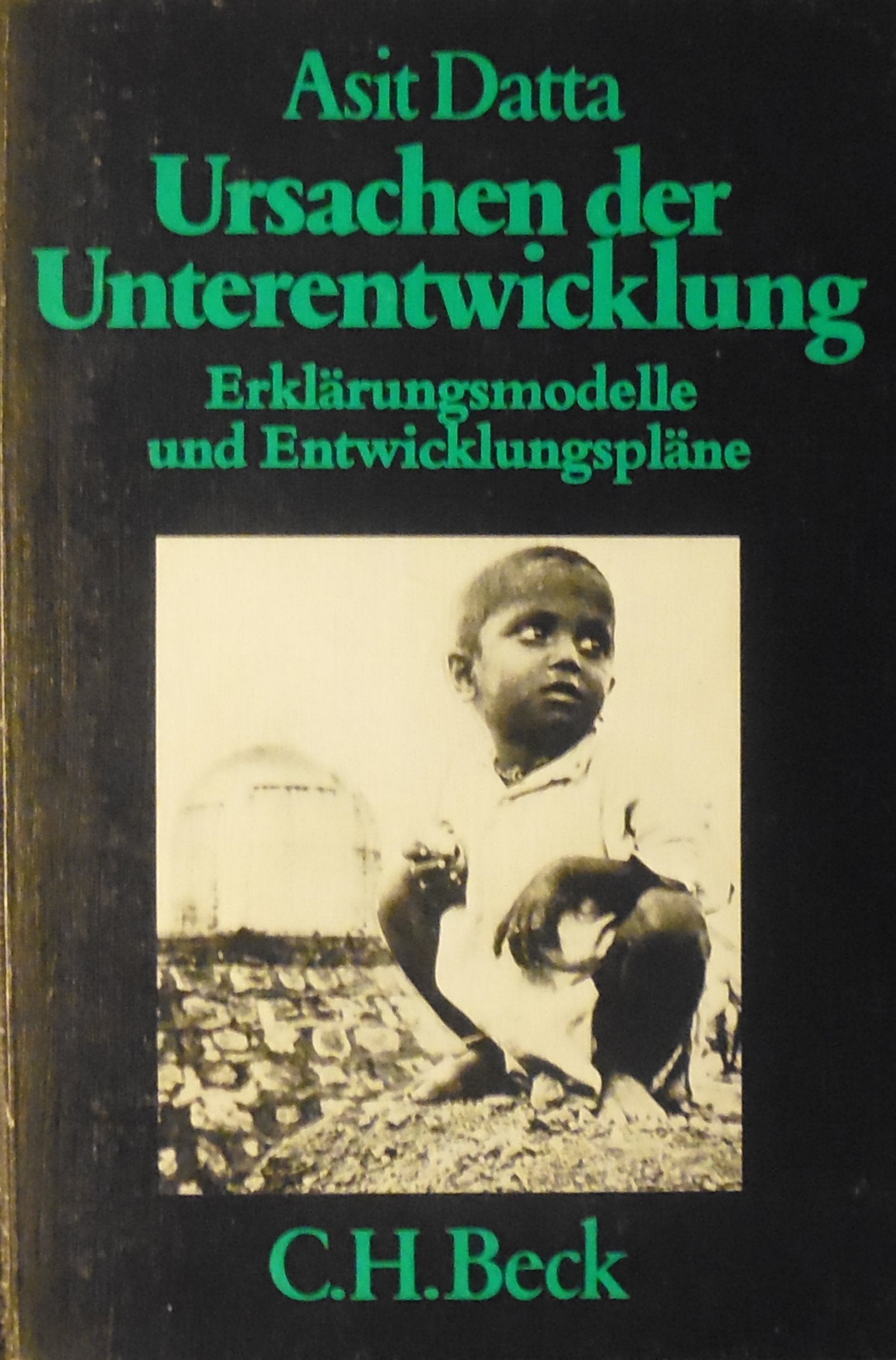 Ursachen der Unterentwicklung. Erklärungsmodelle und Entwicklungspläne. Business, Finance & Career