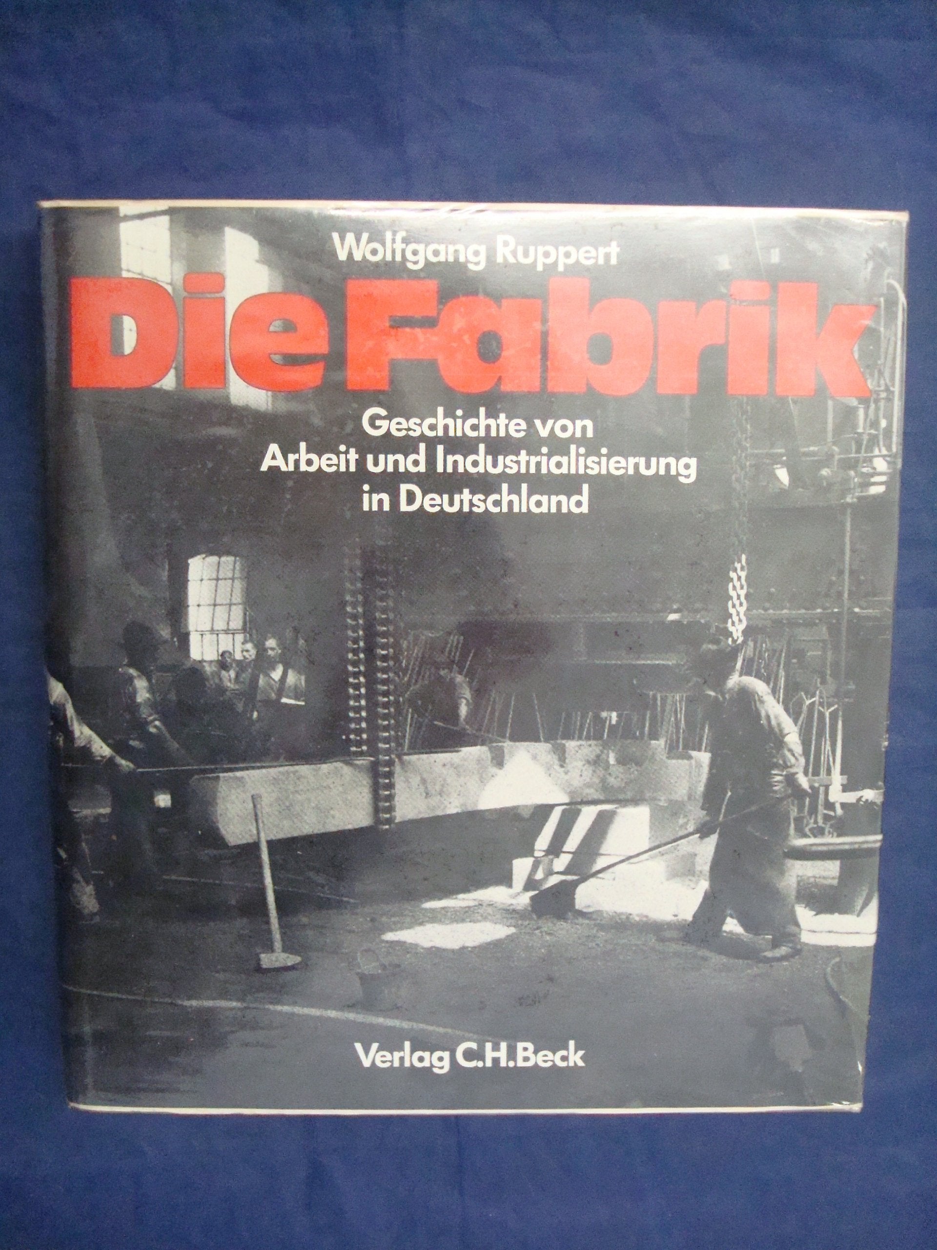 Die Fabrik. Geschichte von Arbeit und Industrialisierung in Deutschland Books