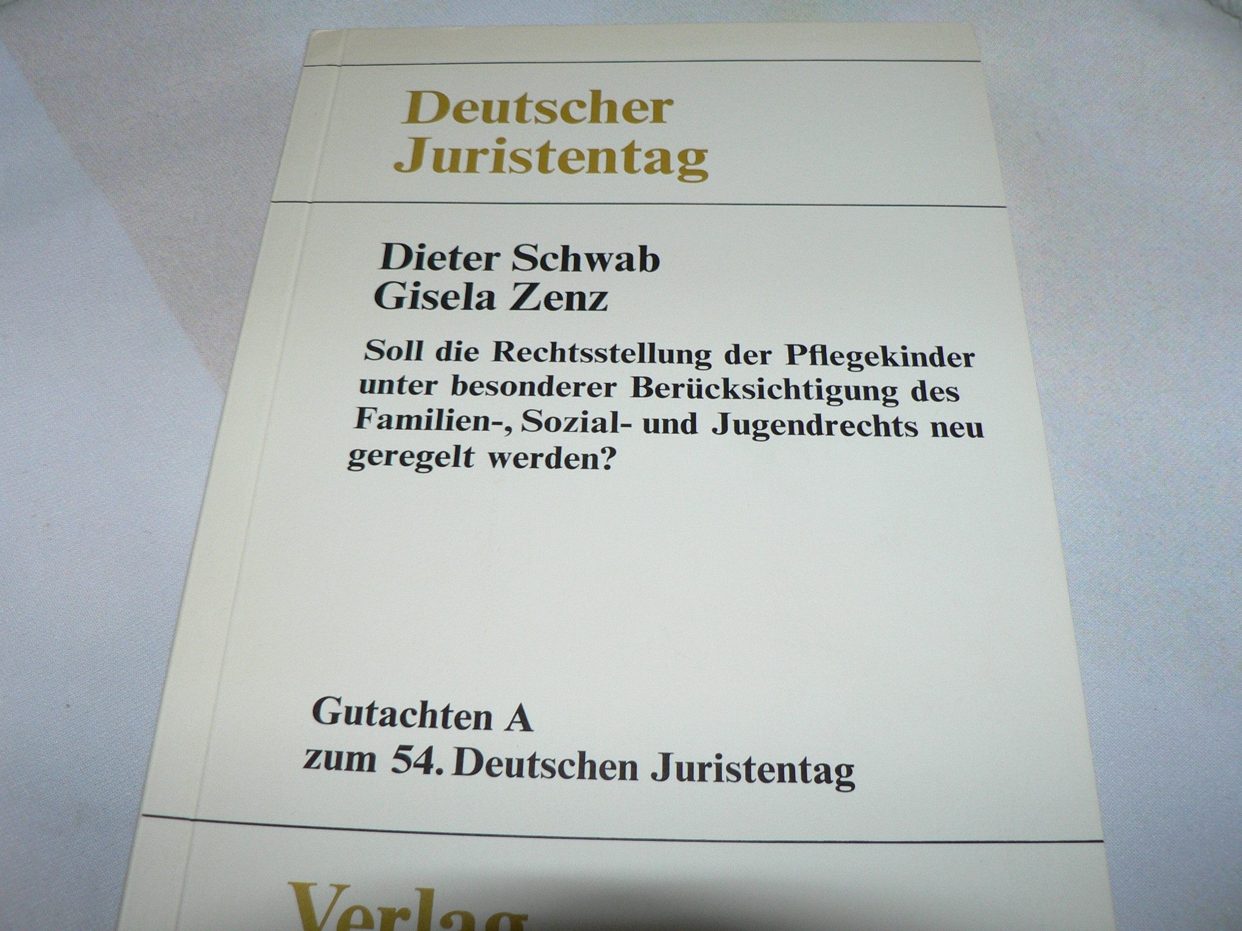 Soll die Rechtsstellung der Pflegekinder unter besonderer Berücksichtigung des Familien-, Sozial- und Jugendrechts neu geregelt werden?. (Teilgutachten Familienrecht), Tl A Law
