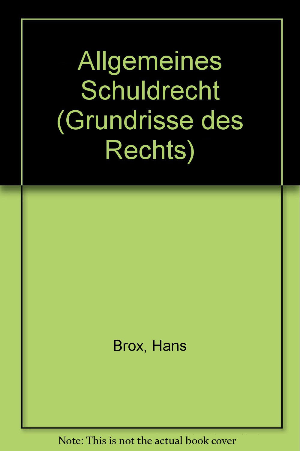 Allgemeines Schuldrecht. Contemporary literature Books