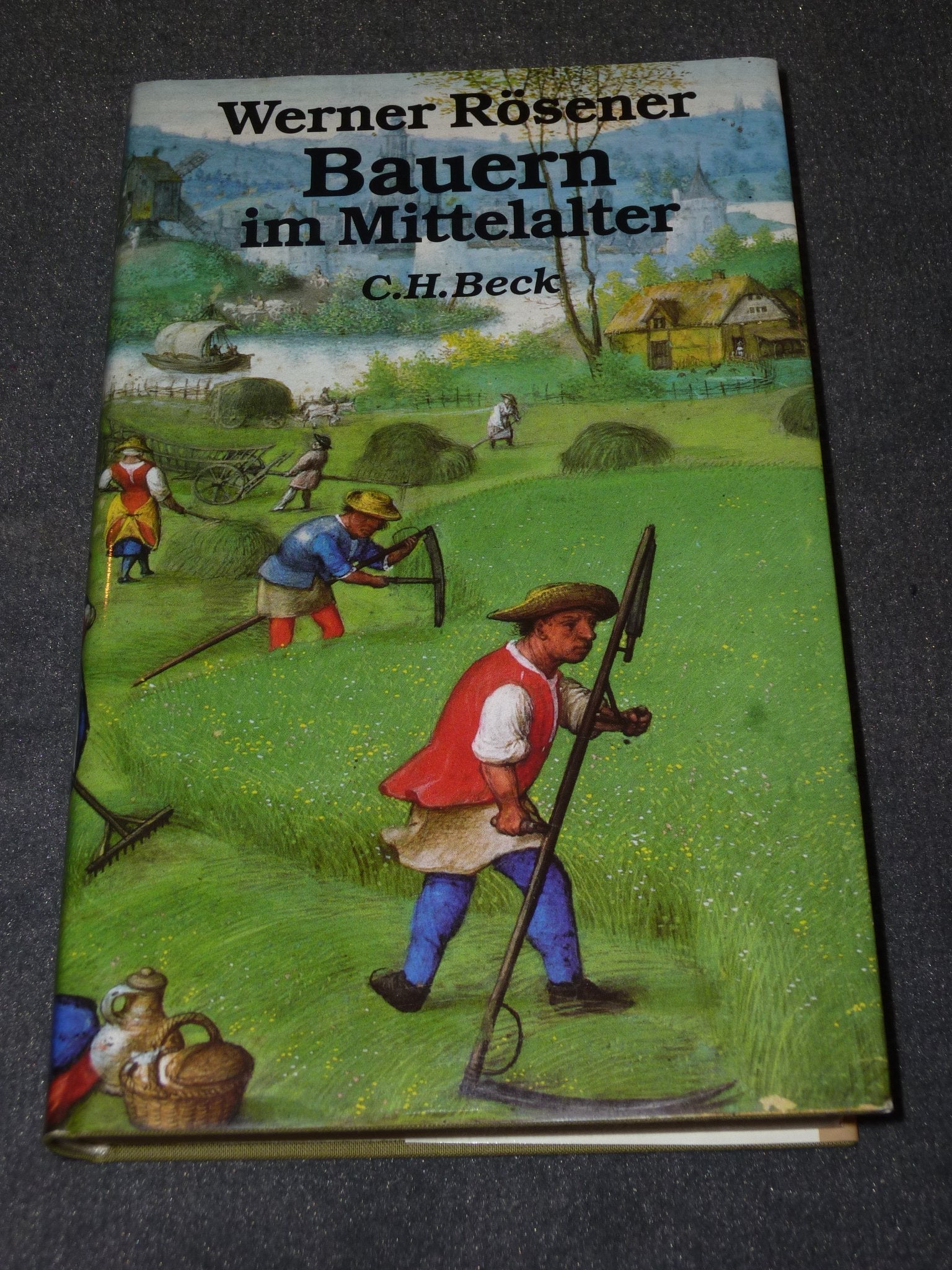 Bauern im Mittelalter Politics & History books