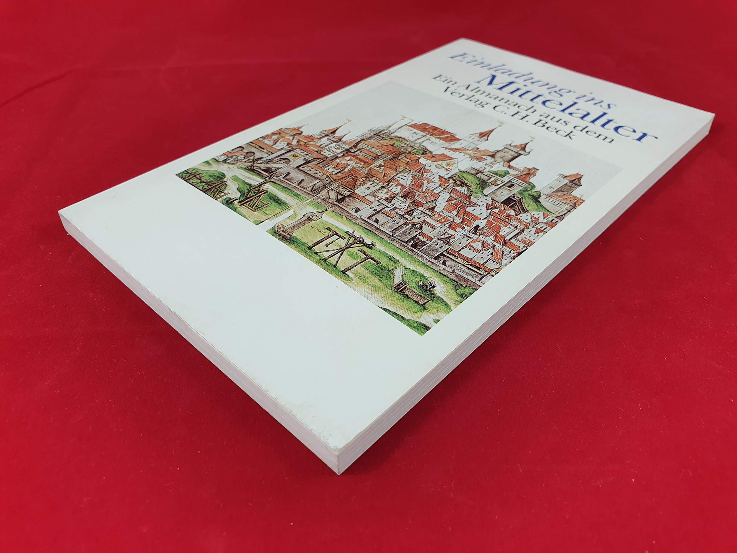 Einladung ins Mittelalter. Ein Almanach Politics & History