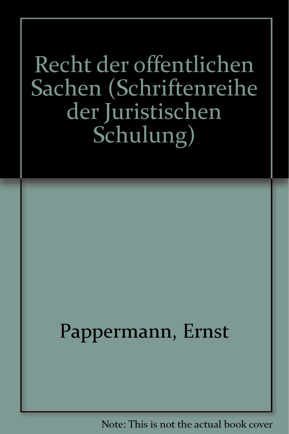 JuS-Schriftenreihe, H.96, Recht der öffentlichen Sachen (JuS-Schriftenreihe: Schriftenreihe der Juristischen Schulung) Law