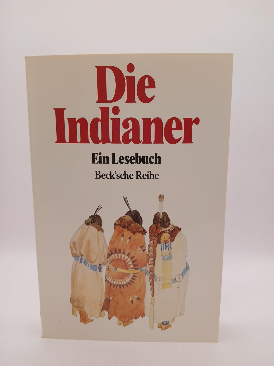 Product Image: Die Indianer - Ein Lesebuch
