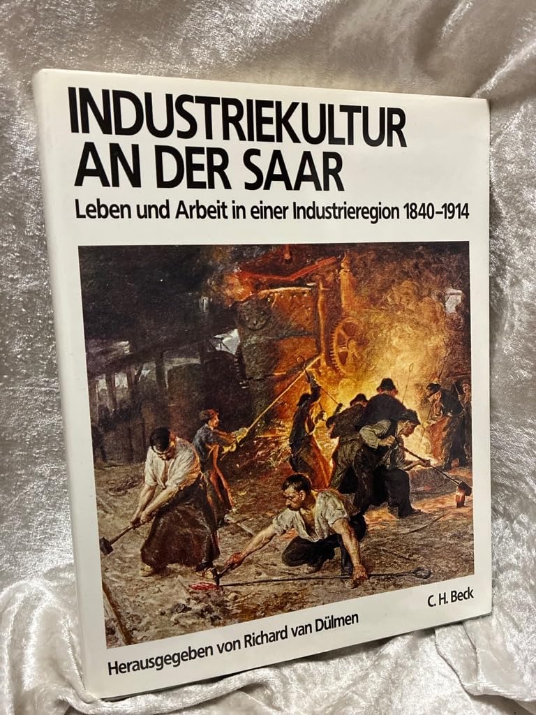 Industriekultur an der Saar: Leben und Arbeiten in einer Industrieregion 1840-1914 (Industriekultur deutscher Städte und Regionen) Business, Finance & Career
