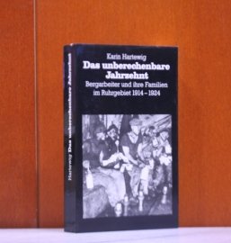 Das unberechenbare Jahrzehnt. Bergarbeiter und ihre Familien im Ruhrgebiet 1914-1924 Business, Finance & Career