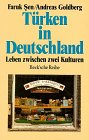 Türken in Deutschland Books