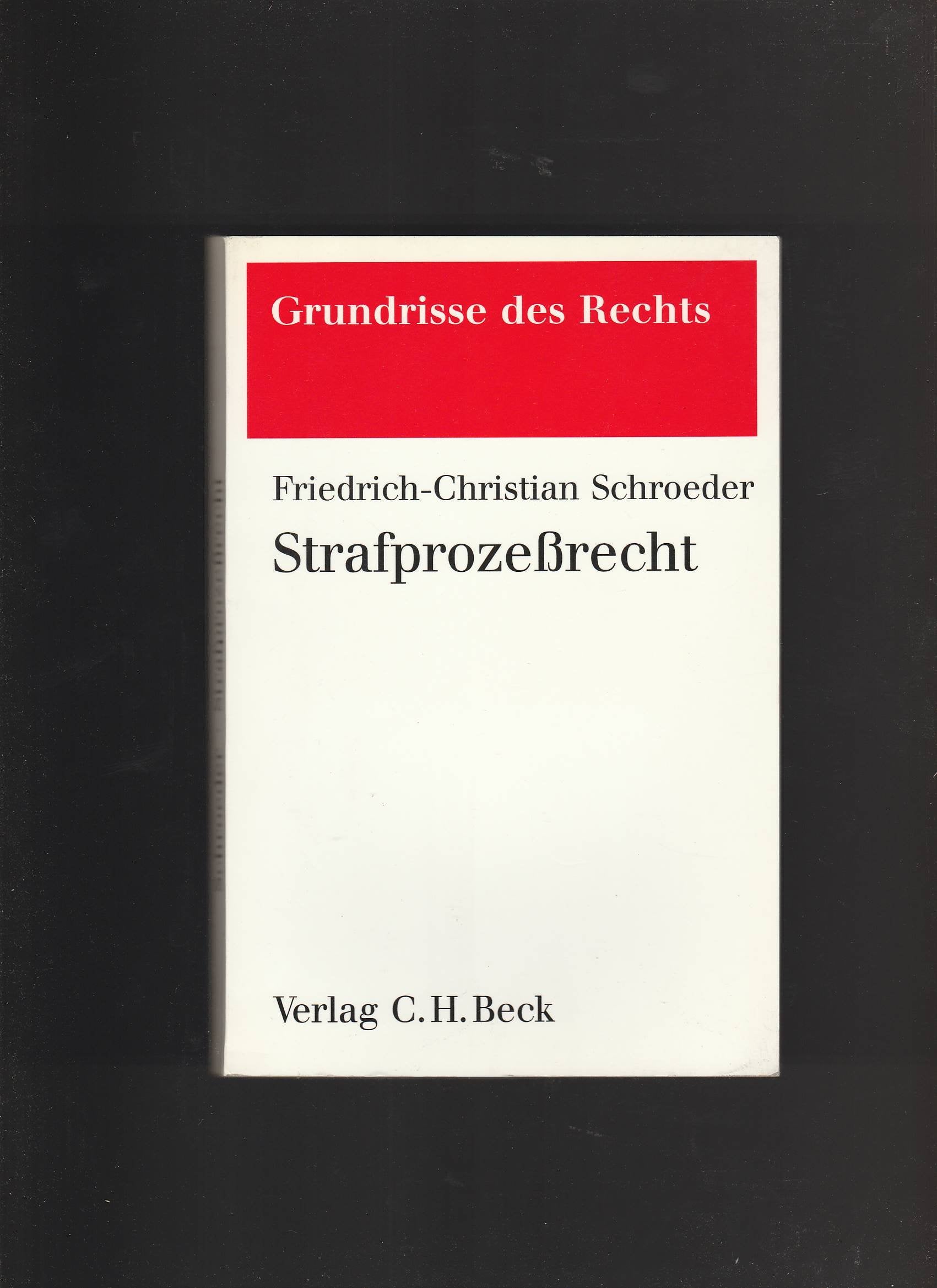 Strafprozessrecht (Grundrisse des Rechts) Law