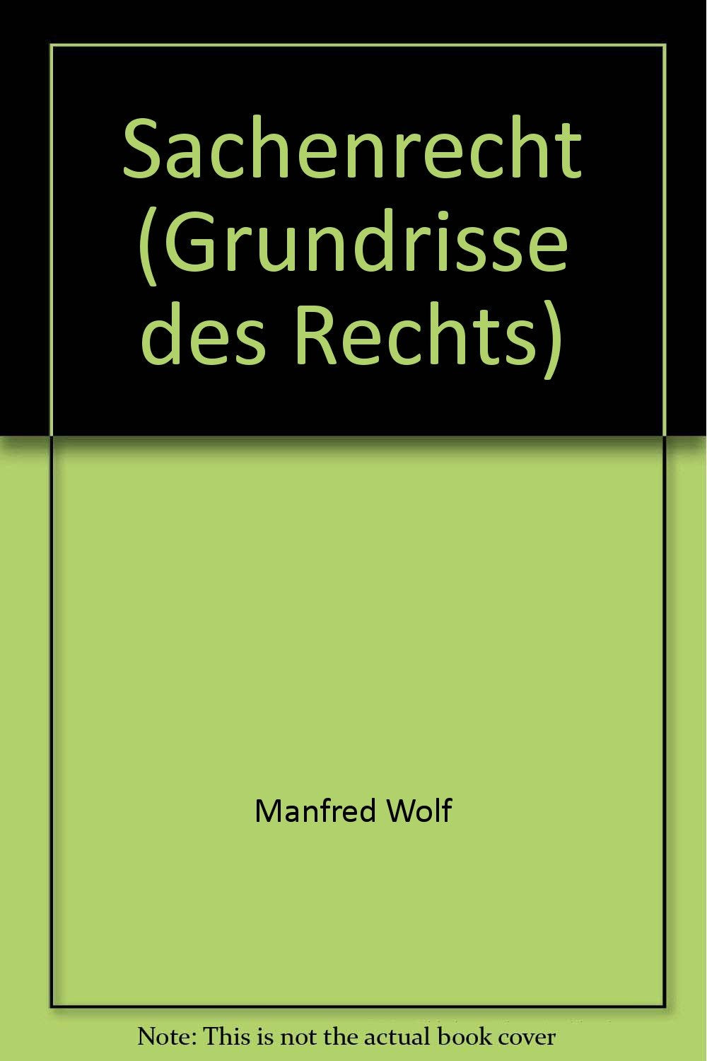 Sachenrecht (Grundrisse des Rechts) Law