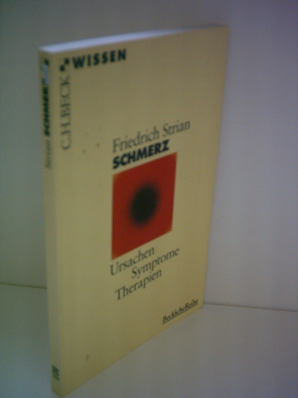 Schmerz: Ursachen, Symptome, Therapien (Beck'sche Reihe) Health, Nutrition & Fitness