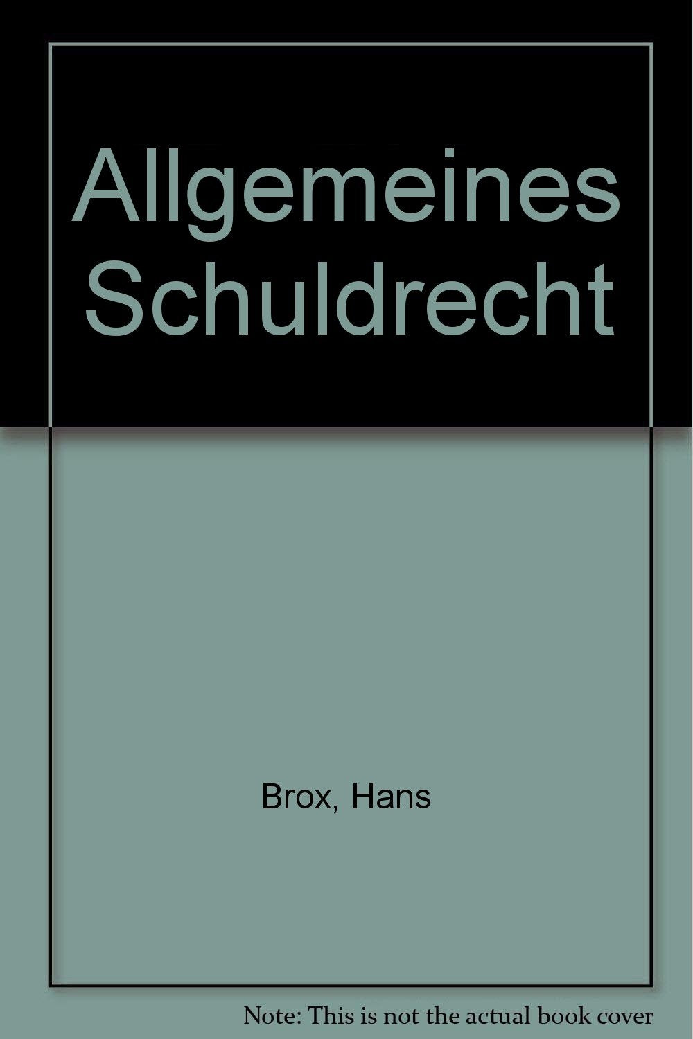Allgemeines Schuldrecht (Grundrisse des Rechts) Law