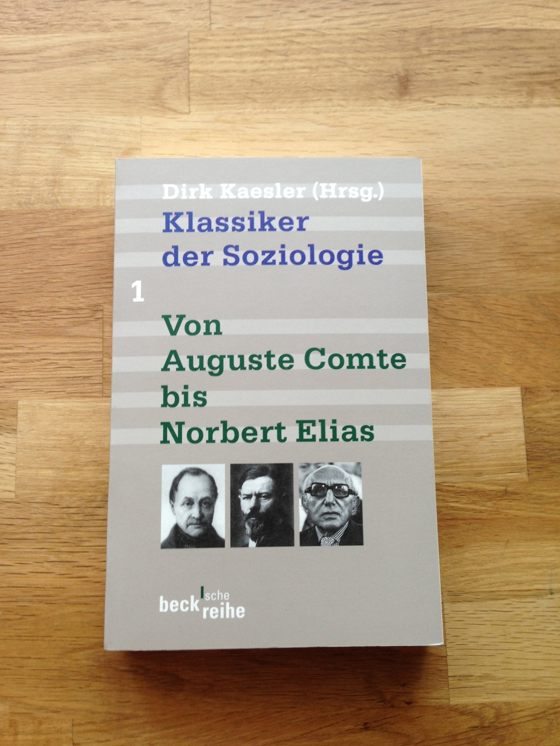 Klassiker der Soziologie, Bd. 1: Von Auguste Comte bis Norbert Elias Social Sciences