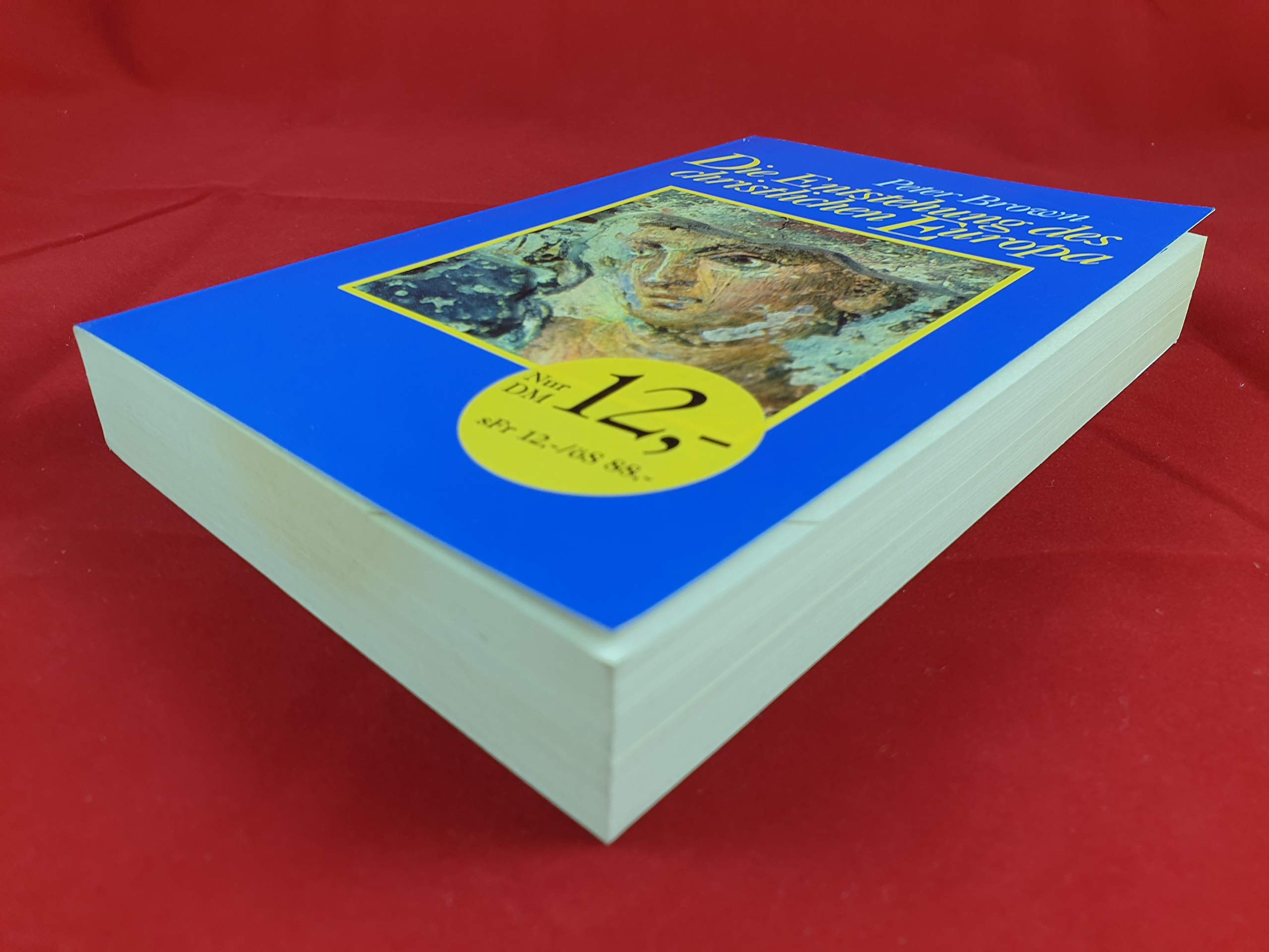Die Entstehung des christlichen Europa (Beck'sche Reihe) Politics & History