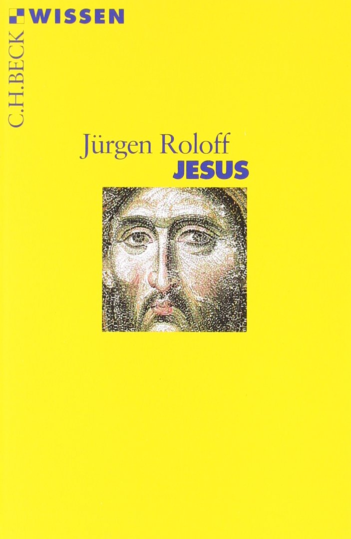 Jesus Politics & Society Books