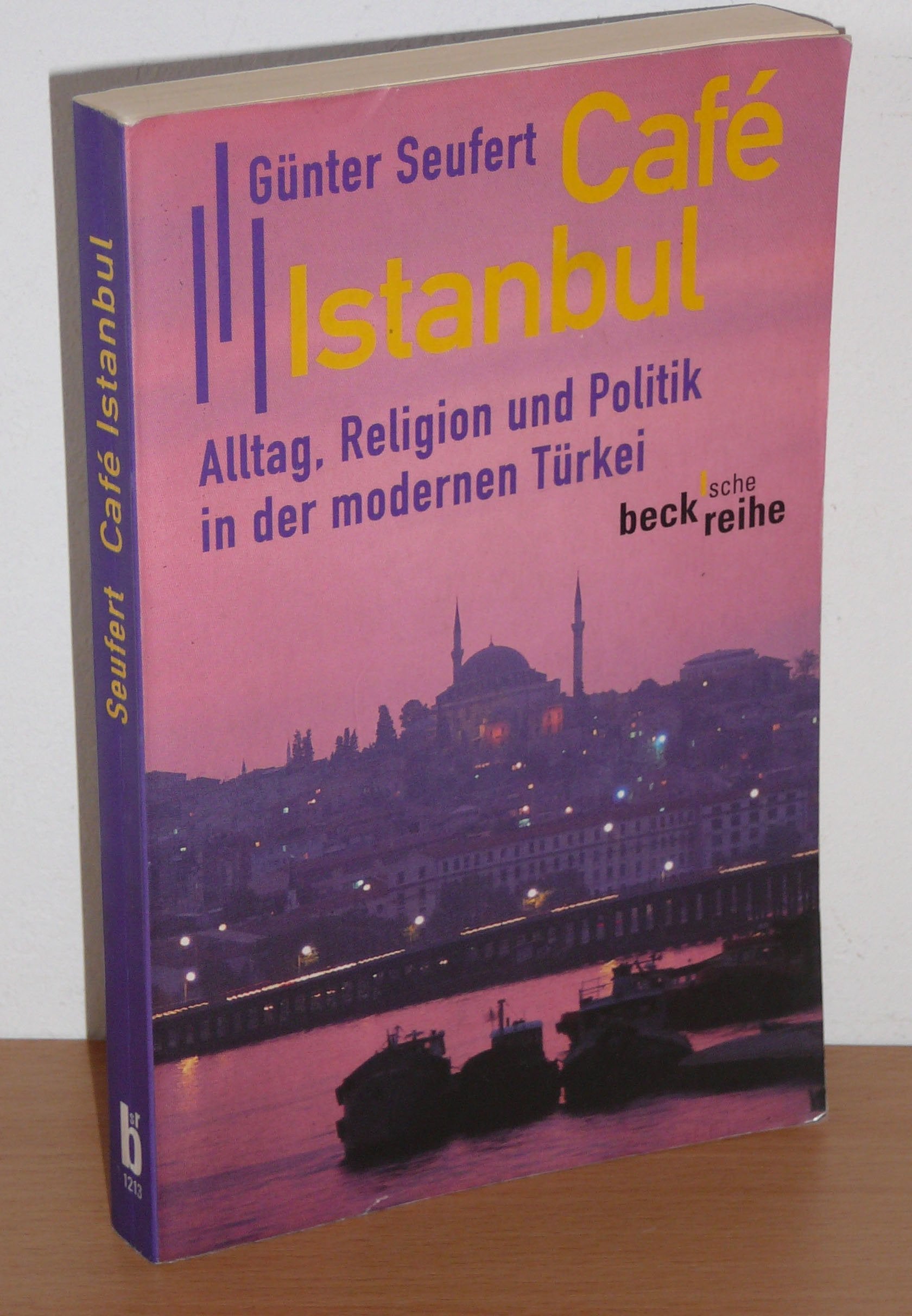 Cafe Istanbul: Alltag, Religion und Politik in der modernen Türkei (Beck'sche Reihe) Politics & History