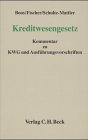 Product Image: Kreditwesengesetz