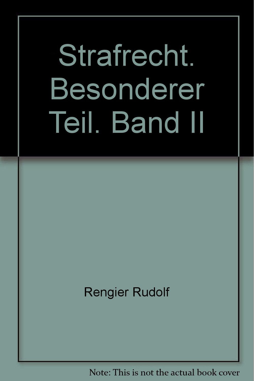 Strafrecht, Besonderer Teil, Bd.2, Delikte gegen die Person und Allgemeinheit (Grundrisse des Rechts) Law