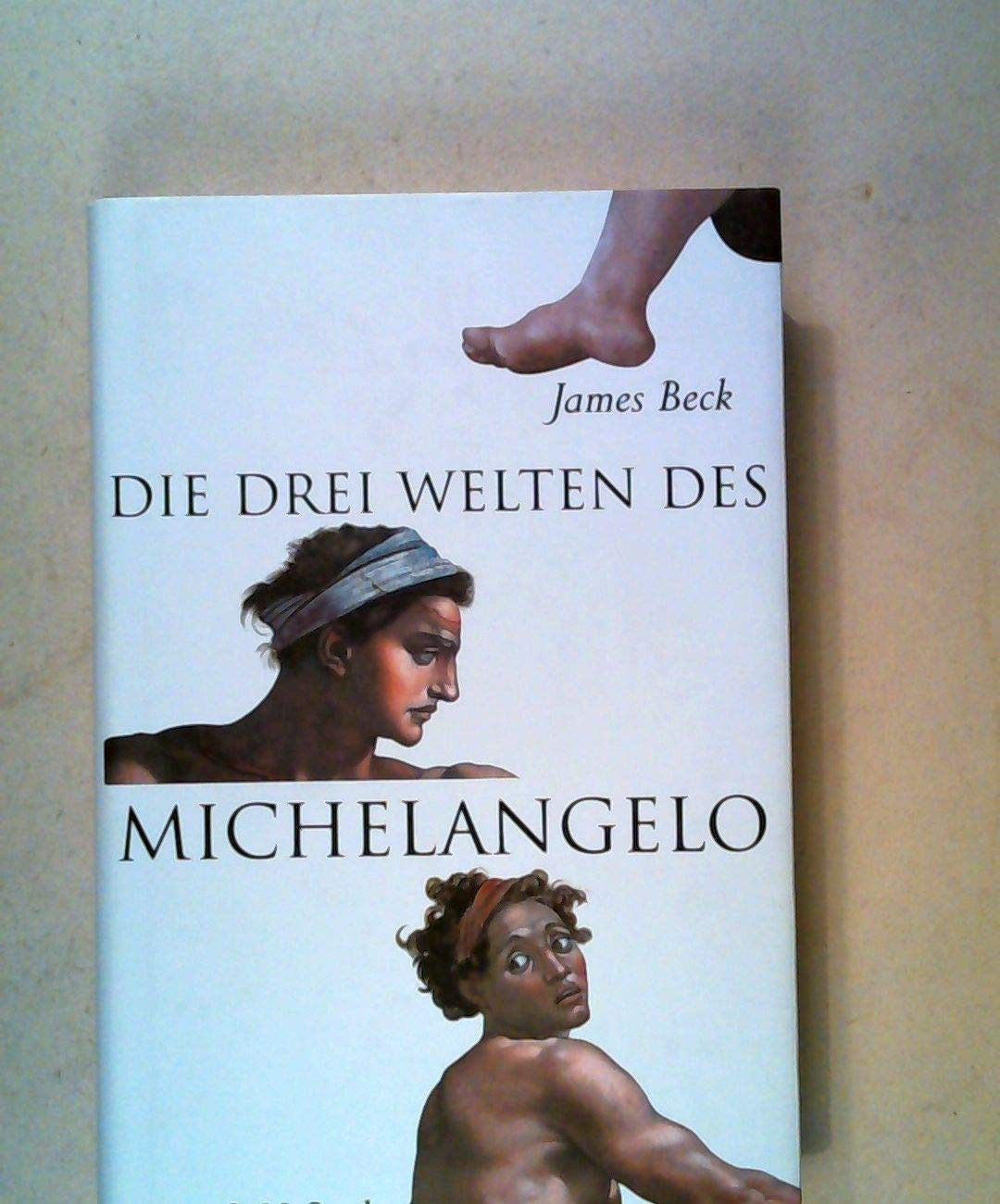 Die drei Welten des Michelangelo Natural Sciences