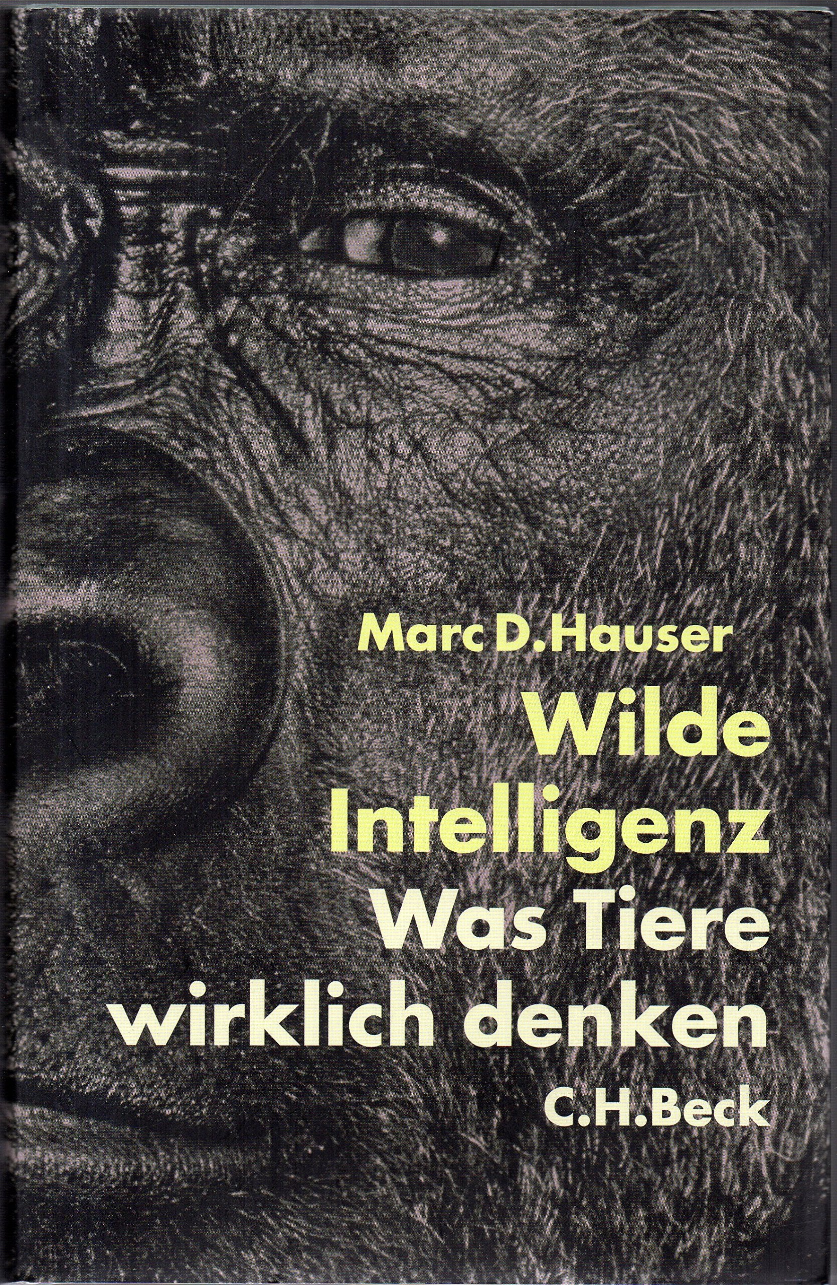 Wilde Intelligenz: Was Tiere wirklich denken Leisure, Home & Garden Books