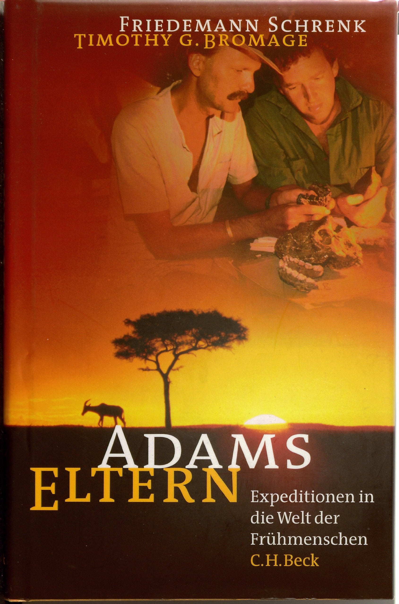Adams Eltern Film, Art & Culture