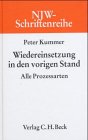 Wiedereinsetzung in den vorigen Stand: Alle Prozessarten, Rechtsstand: 20020501 (NJW-Schriftenreihe: Schriftenreihe der Neuen Juristischen Wochenschrift, Band 37) Law