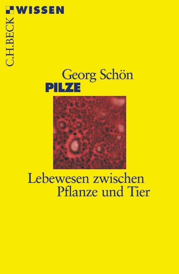 Pilze Leisure, Home & Garden