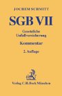 SGB VII. Gesetzliche Unfallversicherung: Rechtsstand: August 2003 (Gelbe Erläuterungsbücher) Law