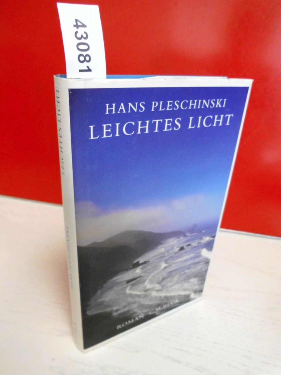 Leichtes Licht: Roman Contemporary literature Books