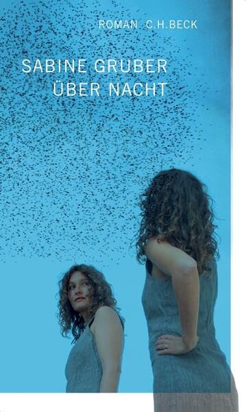 Über Nacht: Roman Contemporary literature