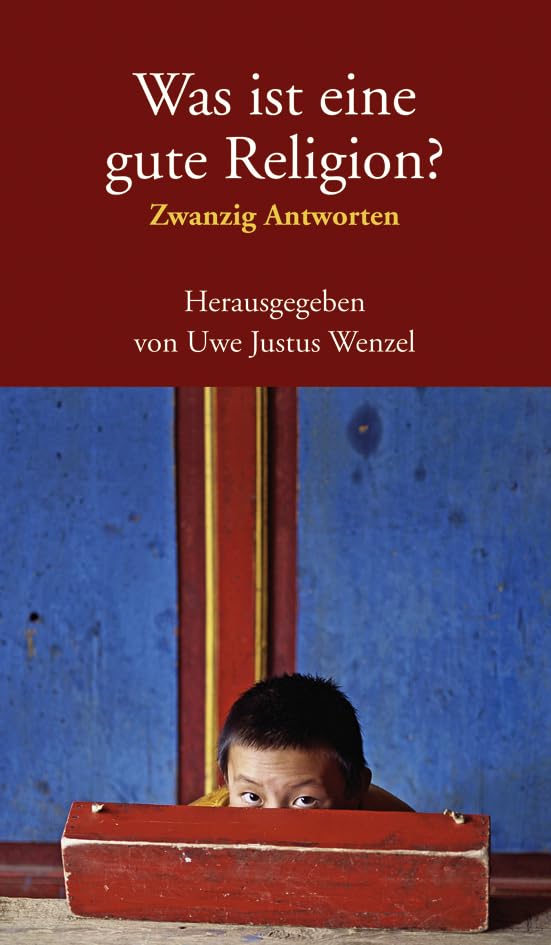 Was ist eine gute Religion?: Zwanzig Antworten Philosophy
