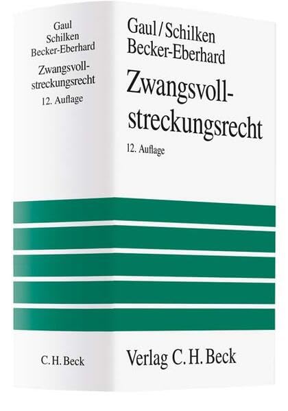 Zwangsvollstreckungsrecht (Großes Lehrbuch) Law