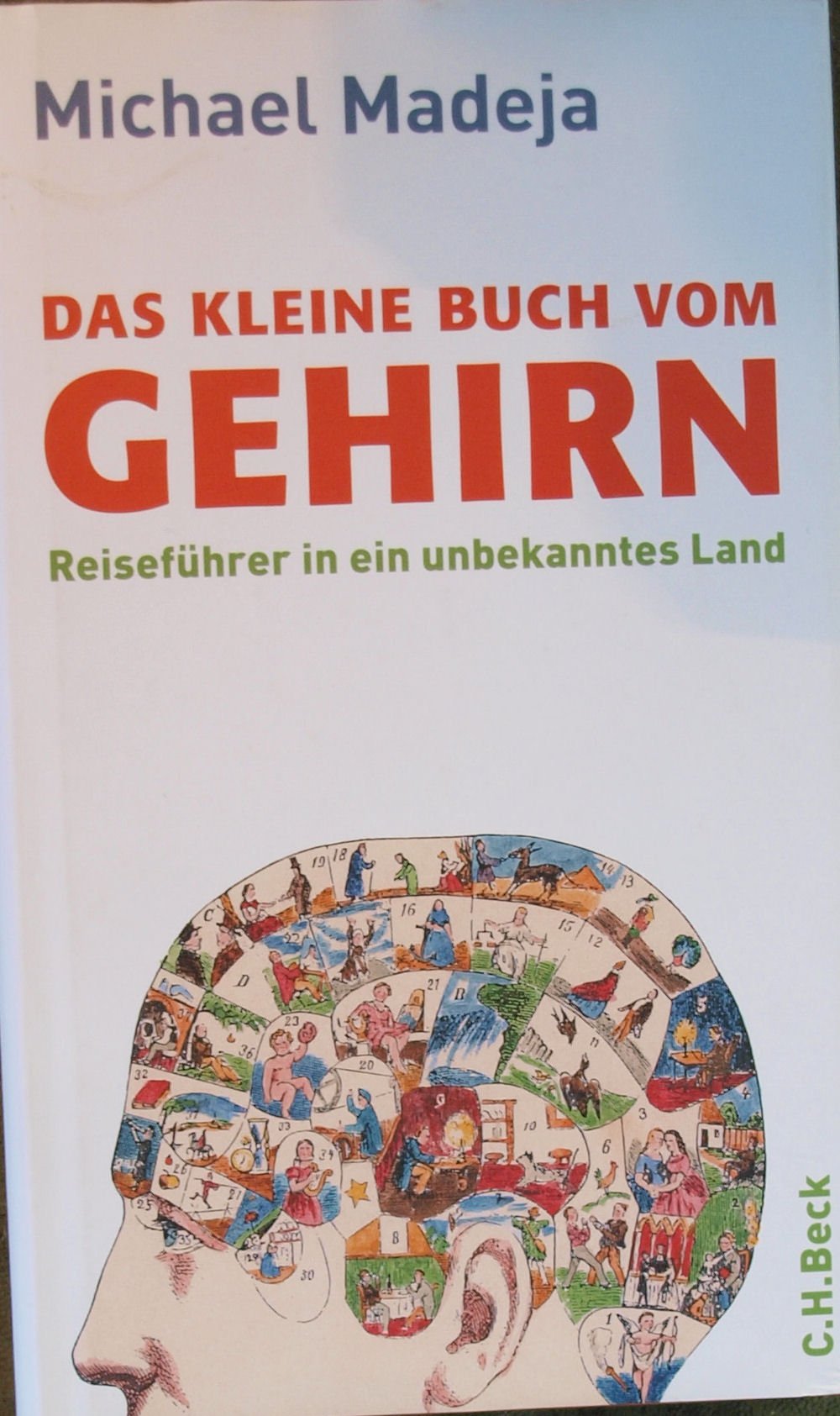 Product Image: Das kleine Buch vom Gehirn