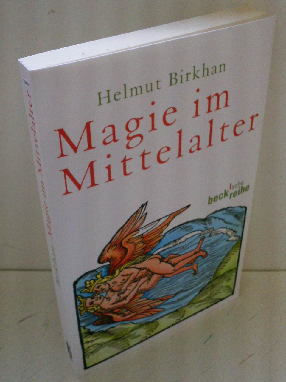 Magie im Mittelalter General education Books