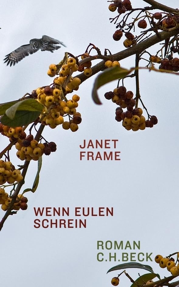 Wenn Eulen schrein Contemporary literature Books