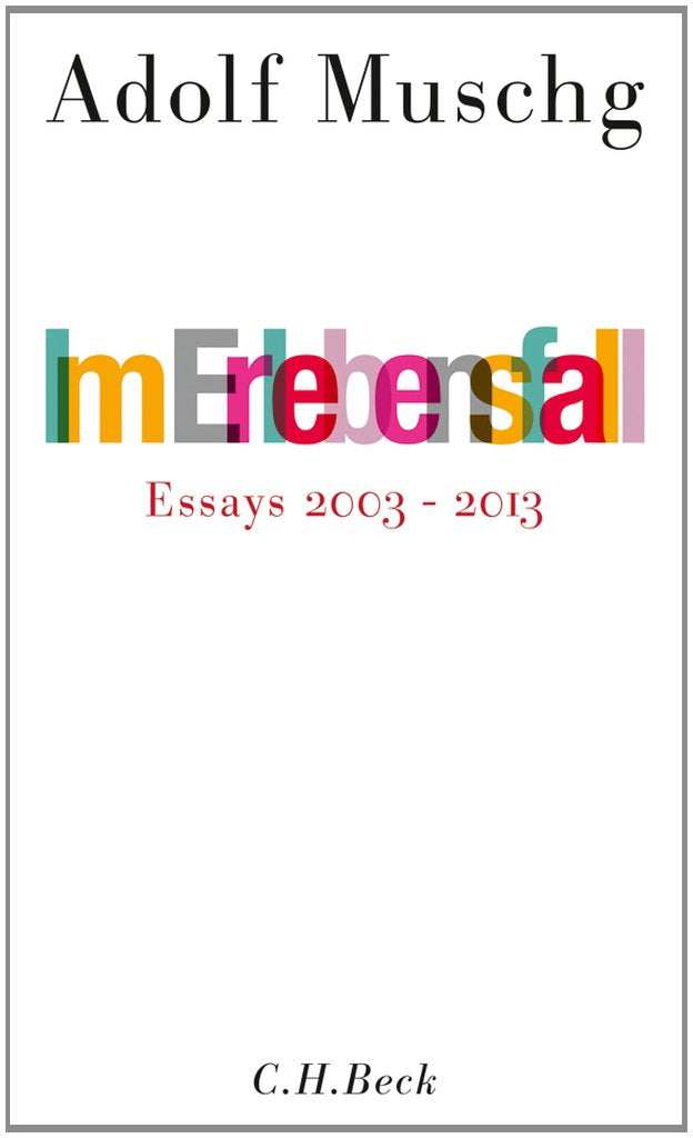 Im Erlebensfall: Essays 2002-2013 Essays & Short Stories