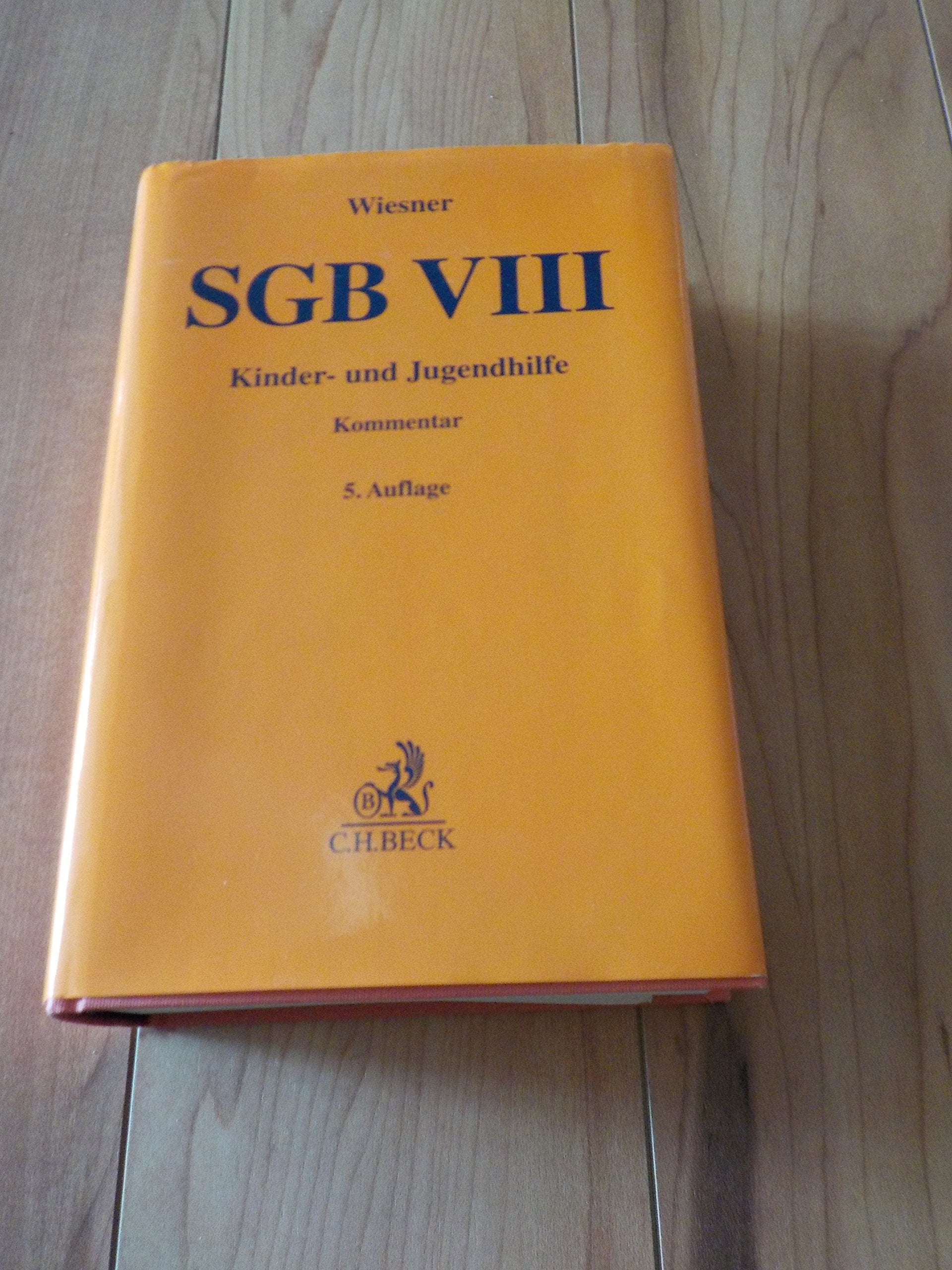 SGB VIII: Kinder- und Jugendhilfe Law
