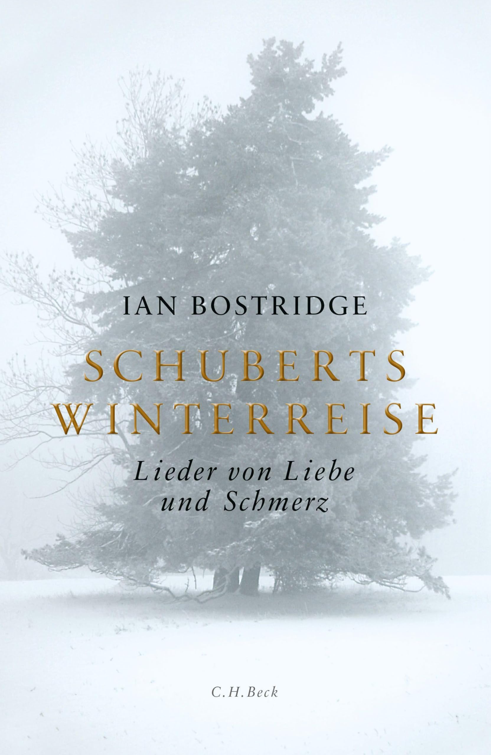 Schuberts Winterreise Film, Art & Culture