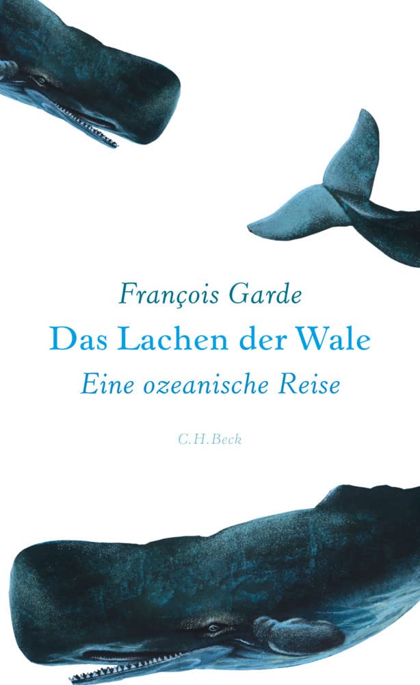 Das Lachen der Wale Essays & Short Stories