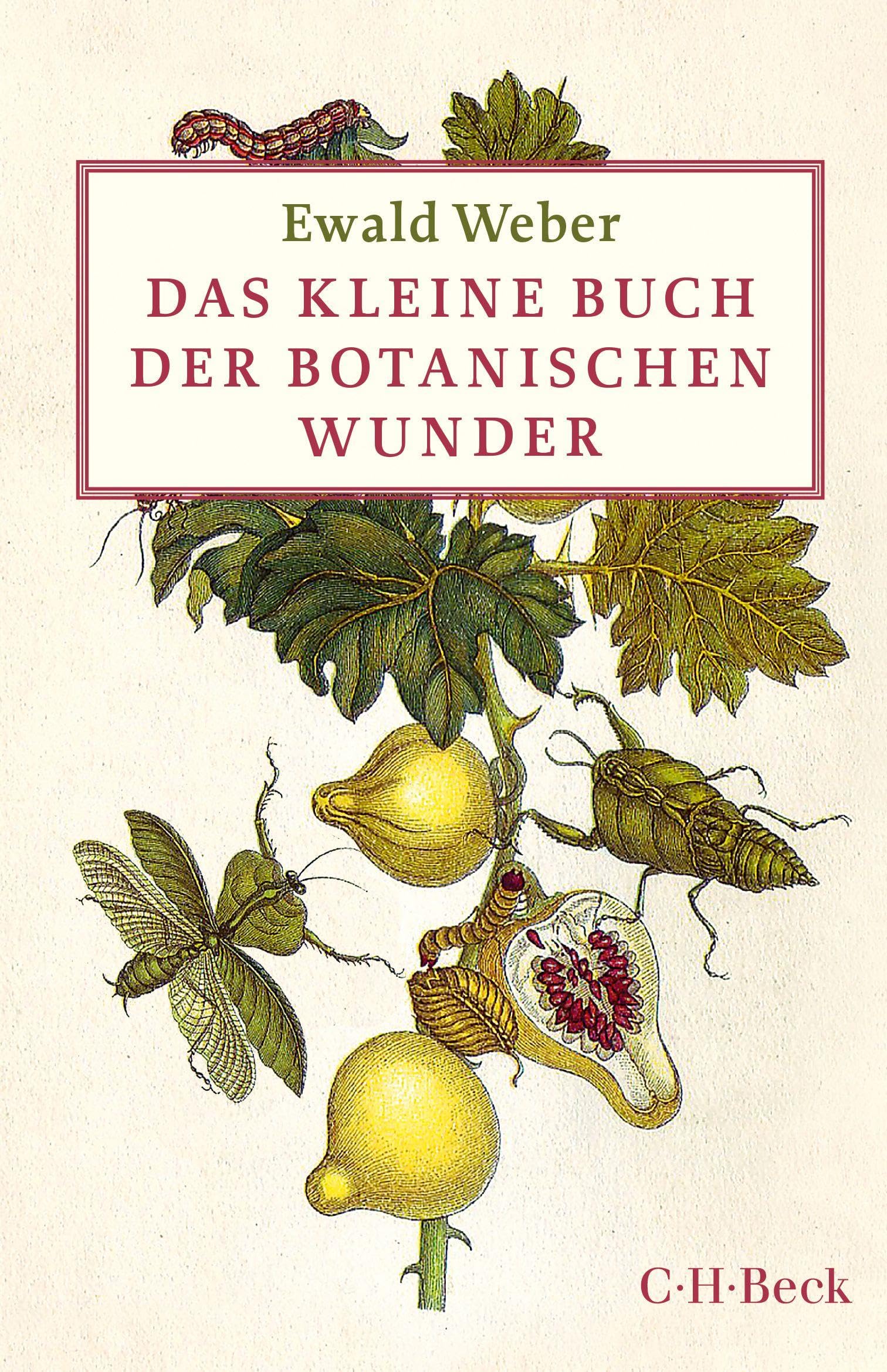 Product Image: Das kleine Buch der botanischen Wunder
