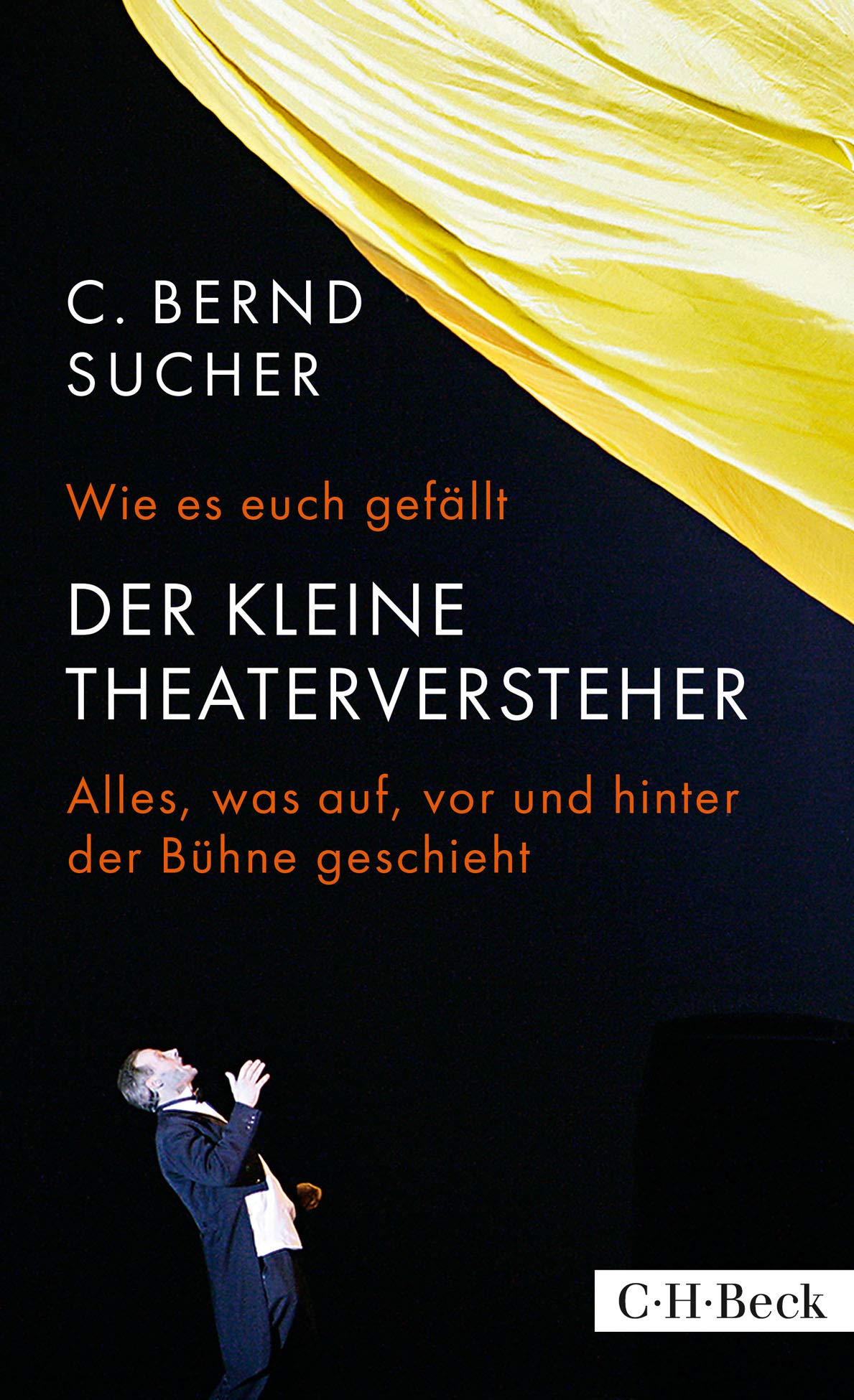 Wie es euch gefällt: Der kleine Theaterversteher (Beck Paperback) Film, Art & Culture