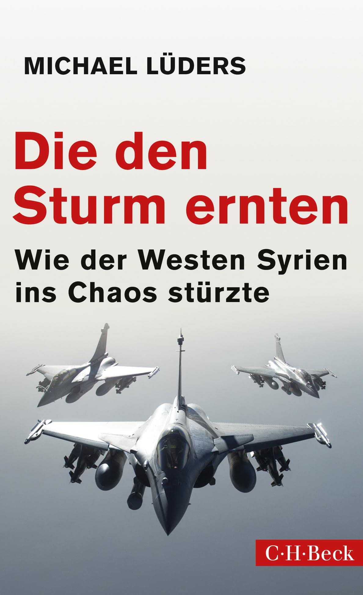 Die den Sturm ernten Business, Finance & Career Books