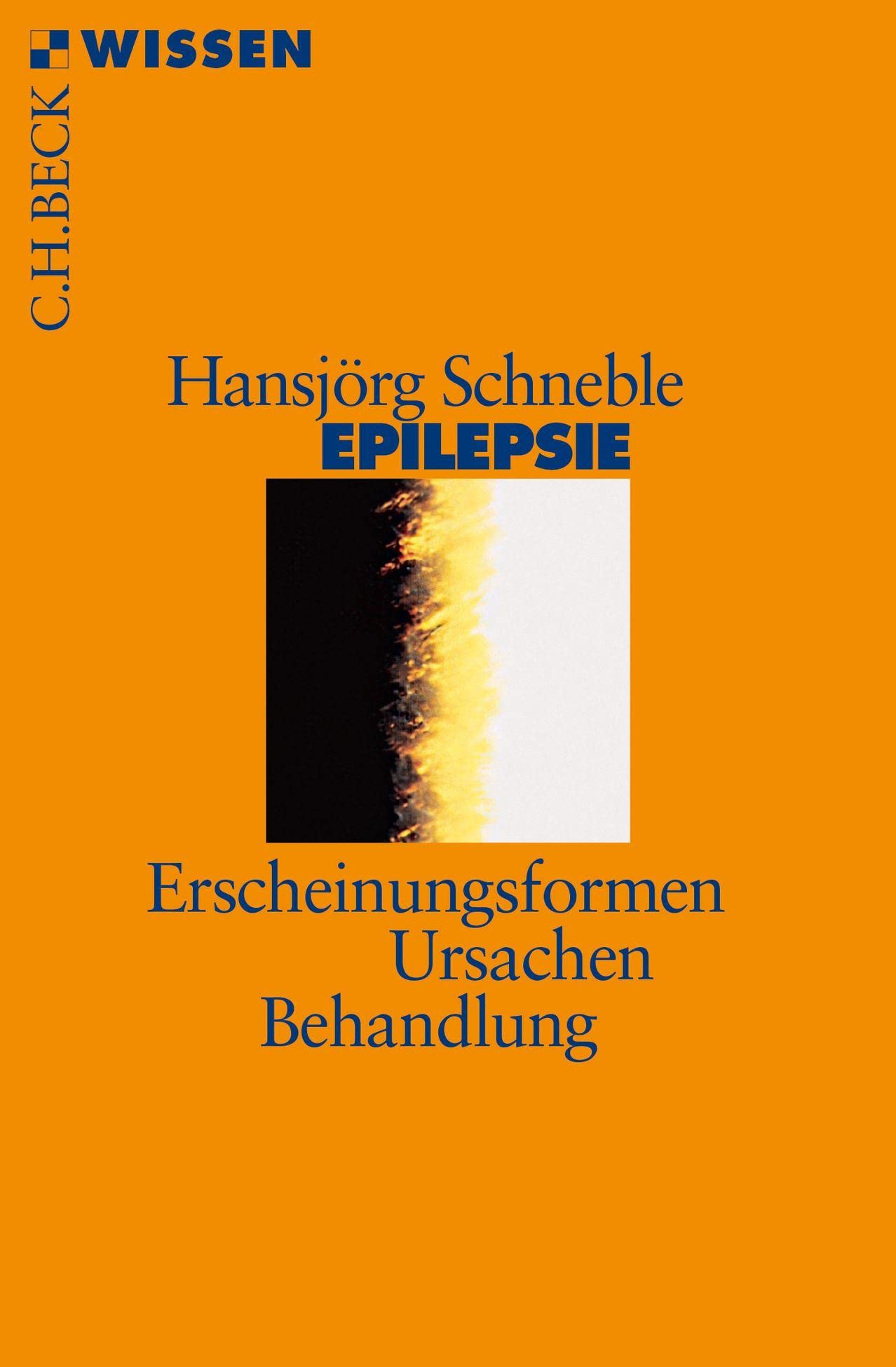 Epilepsie: Erscheinungsformen, Ursachen, Behandlung (C.H.BECK Wissen) Health, Nutrition & Fitness